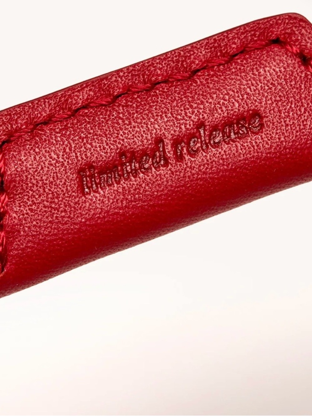 Hammitt Sunny Sleeve Lime Zest Green Brushed Silver Pouch with Red Accent - Picture 8 of 9